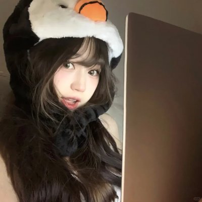 燕子盗